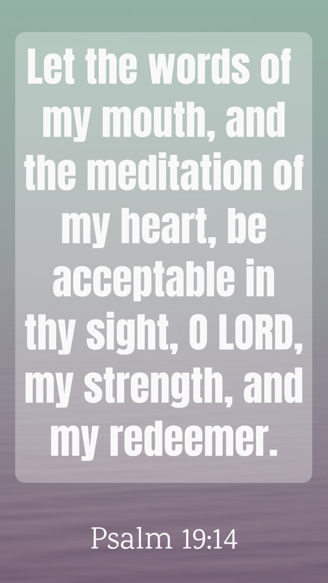 Let the words of my mouth, and the meditation of my heart, be acceptable in thy sight, O LORD, my strength, and my redeemer. - Psalm 19:14