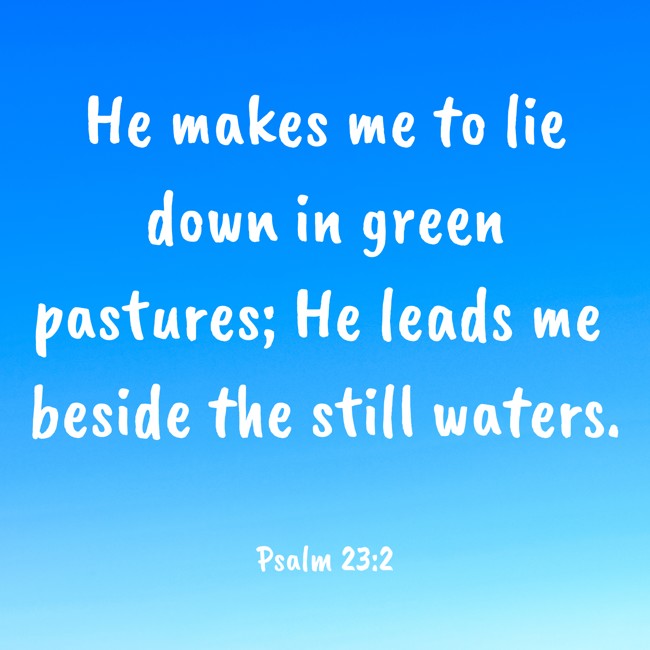 He makes me to lie down in green pastures; He leads me beside the still waters. - Psalm 23:2