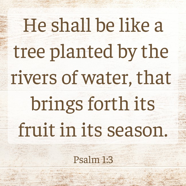He shall be like a tree planted by the rivers of water, that brings forth its fruit in its season. - Psalm 1:3