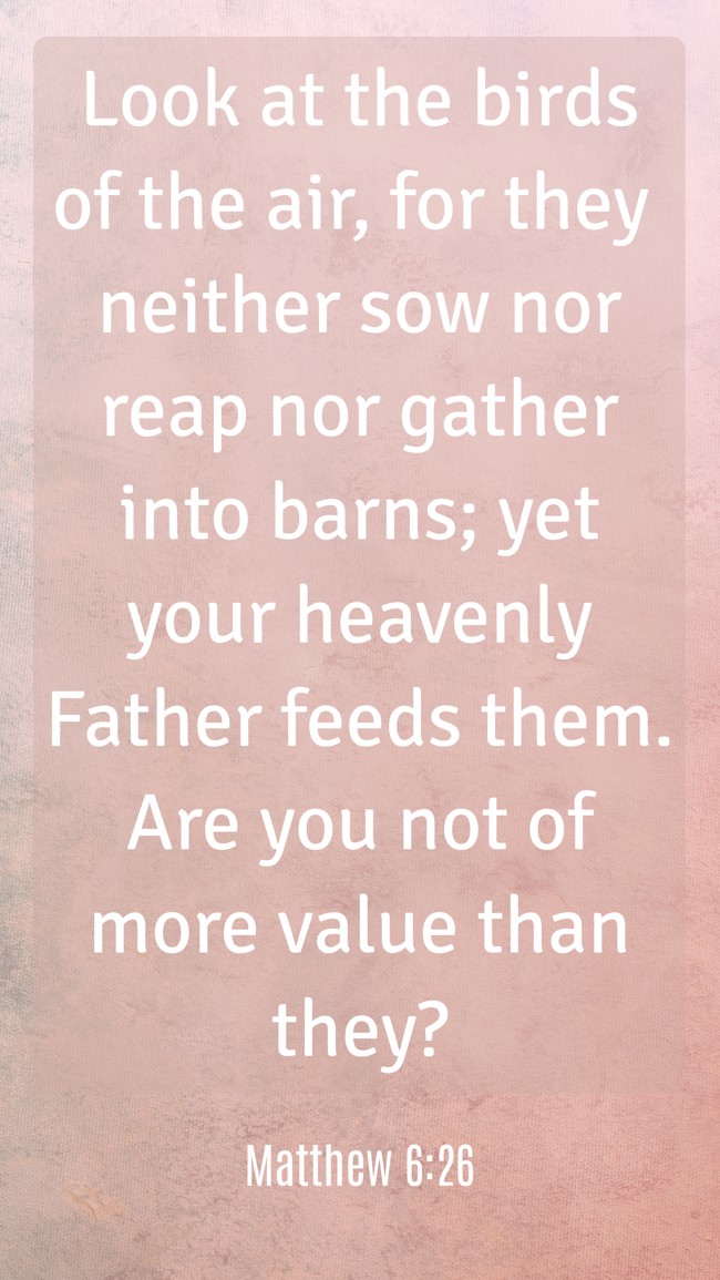 Look at the birds of the air, for they neither sow nor reap nor gather into barns; yet your heavenly Father feeds them. Are you not of more value than they? - Matthew 6:26