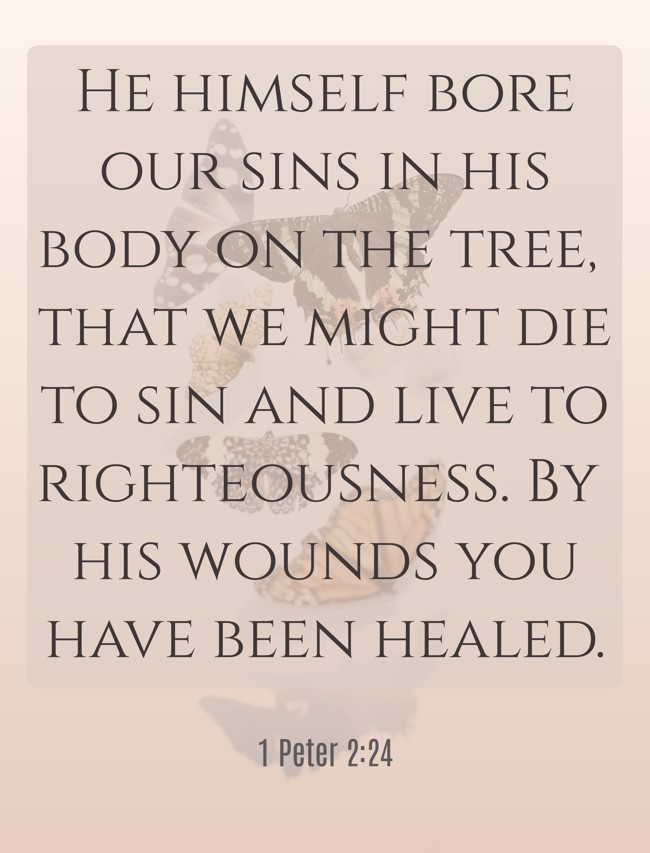 He himself bore our sins in his body on the tree, that we might die to sin and live to righteousness. By his wounds you have been healed. - 1 Peter 2:24