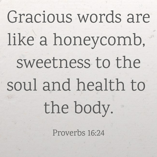 Gracious words are like a honeycomb, sweetness to the soul and health to the body. - Proverbs 16:24