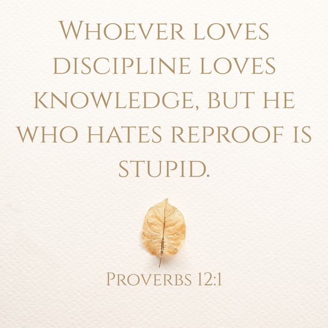 Whoever loves discipline loves knowledge, but he who hates reproof is stupid. - Proverbs 12:1