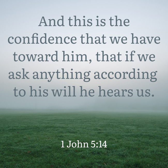And this is the confidence that we have toward him, that if we ask anything according to his will he hears us. - 1 John 5:14