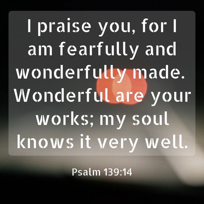 I praise you, for I am fearfully and wonderfully made. Wonderful are your works; my soul knows it very well. - Psalm 139:14