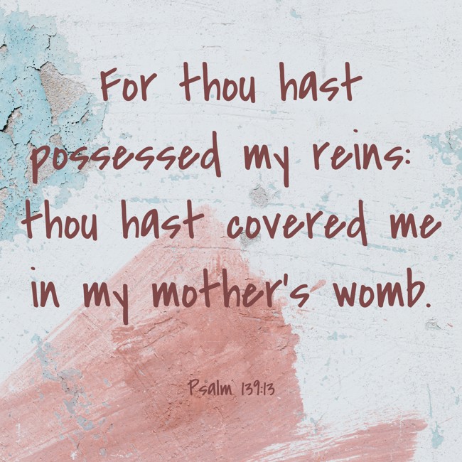 For thou hast possessed my reins: thou hast covered me in my mother's womb. - Psalm 139:13