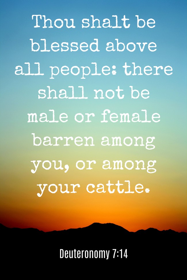 Thou shalt be blessed above all people: there shall not be male or female barren among you, or among your cattle. - Deuteronomy 7:14