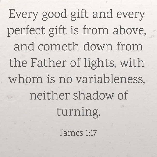 Every good gift and every perfect gift is from above, and cometh down from the Father of lights, with whom is no variableness, neither shadow of turning. - James 1:17