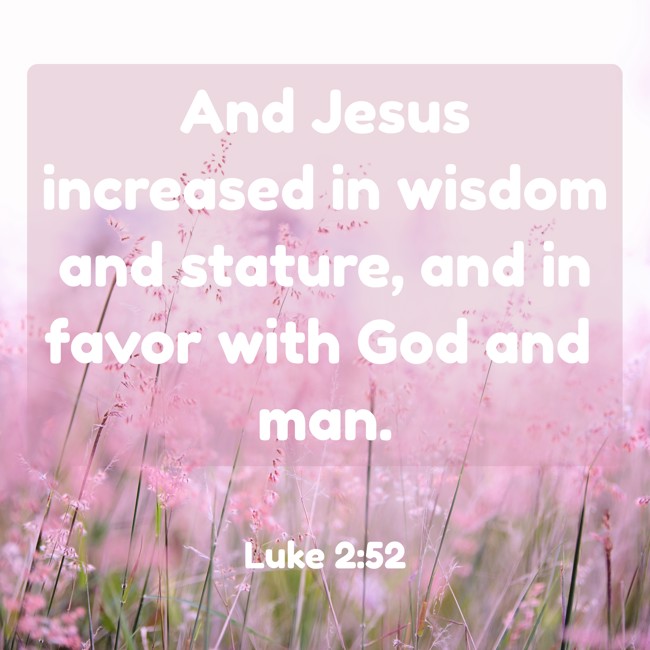 And Jesus increased in wisdom and stature, and in favor with God and man. - Luke 2:52