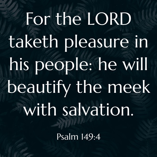 For the LORD taketh pleasure in his people: he will beautify the meek with salvation. - Psalm 149:4