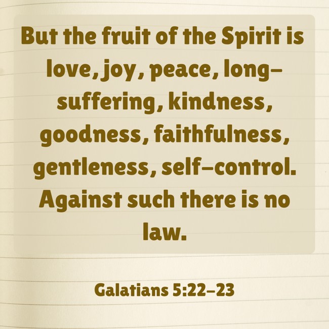 But the fruit of the Spirit is love, joy, peace, long-suffering, kindness, goodness, faithfulness, gentleness, self-control. Against such there is no law. - Galatians 5:22-23