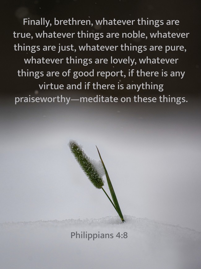 Finally, brethren, whatever things are true, whatever things are noble, whatever things are just, whatever things are pure, whatever things are lovely, whatever things are of good report, if there is any virtue and if there is anything praiseworthy—meditate on these things. - Philippians 4:8