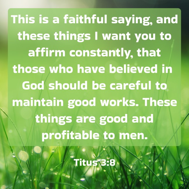This is a faithful saying, and these things I want you to affirm constantly, that those who have believed in God should be careful to maintain good works. These things are good and profitable to men. - Titus 3:8