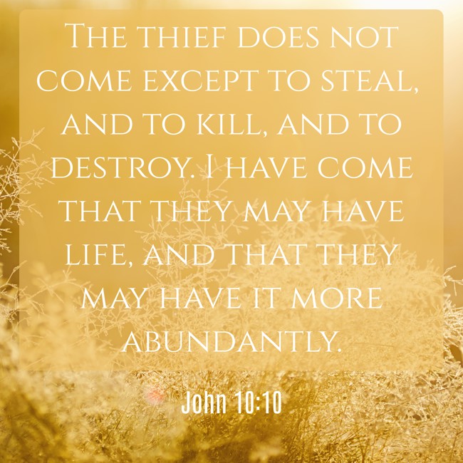 The thief does not come except to steal, and to kill, and to destroy. I have come that they may have life, and that they may have it more abundantly. - John 10:10