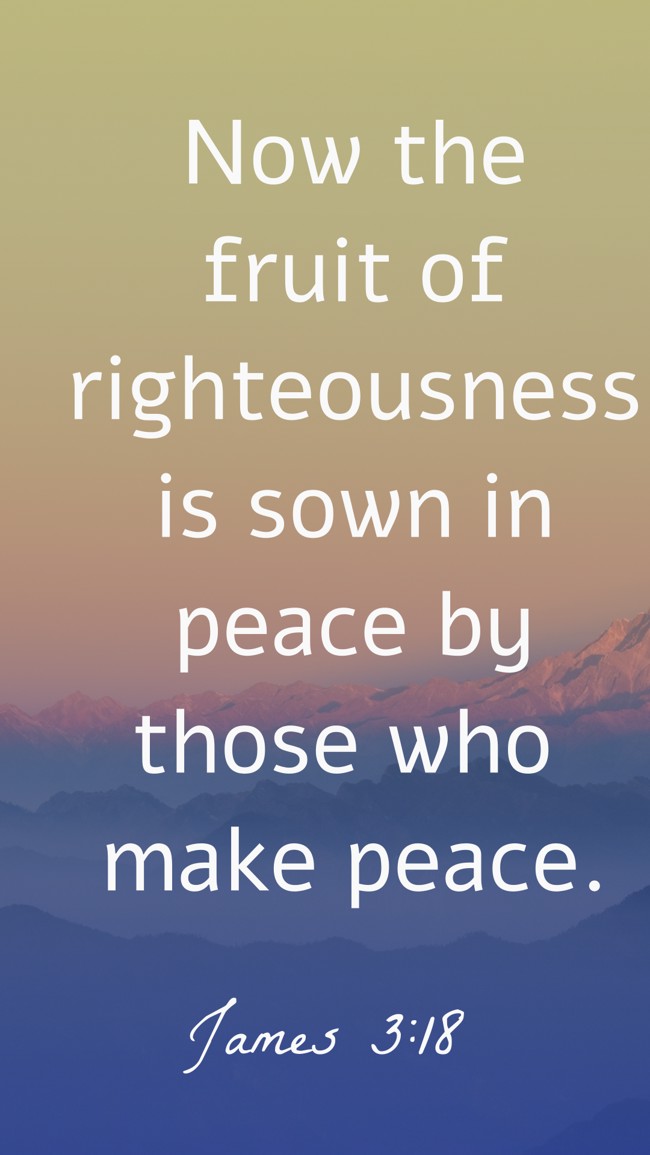 Now the fruit of righteousness is sown in peace by those who make peace. - James 3:18
