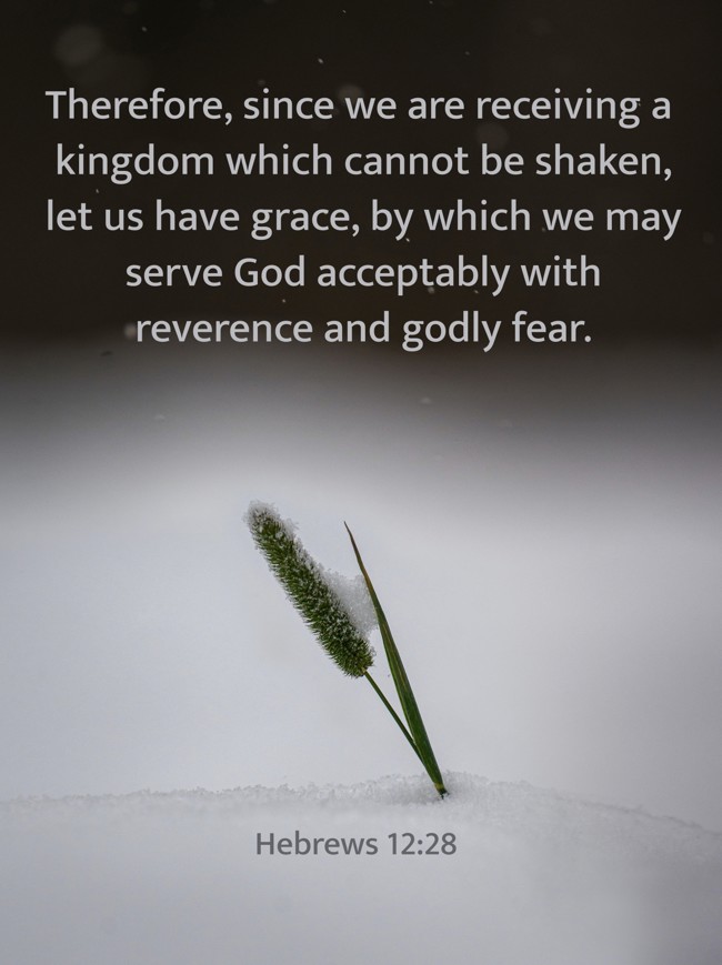 Therefore, since we are receiving a kingdom which cannot be shaken, let us have grace, by which we may serve God acceptably with reverence and godly fear. - Hebrews 12:28