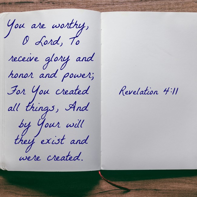 You are worthy, O Lord, To receive glory and honor and power; For You created all things, And by Your will they exist and were created. - Revelation 4:11