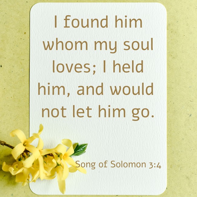 I found him whom my soul loves; I held him, and would not let him go. - Song of Solomon 3:4