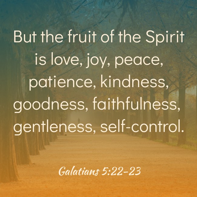 But the fruit of the Spirit is love, joy, peace, patience, kindness, goodness, faithfulness, gentleness, self-control. - Galatians 5:22-23