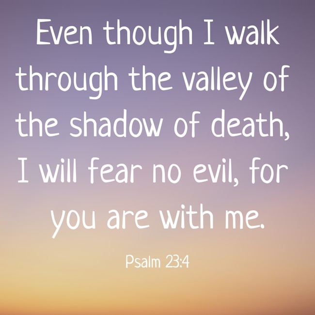 Even though I walk through the valley of the shadow of death, I will fear no evil, for you are with me. - Psalm 23:4