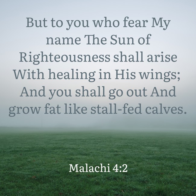  But to you who fear My name The Sun of Righteousness shall arise With healing in His wings; And you shall go out And grow fat like stall-fed calves.   - Malachi 4:2 
