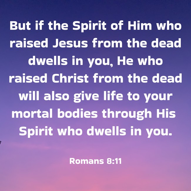 But if the Spirit of Him who raised Jesus from the dead dwells in you, He who raised Christ from the dead will also give life to your mortal bodies through His Spirit who dwells in you.   - Romans 8:11 