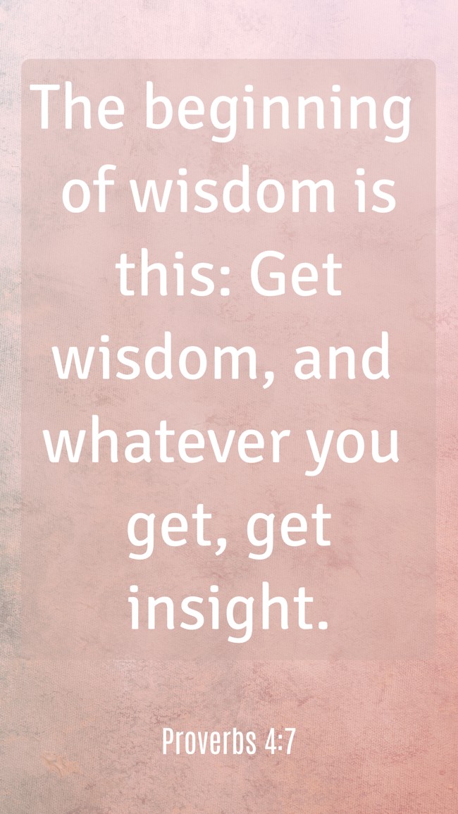 The beginning of wisdom is this: Get wisdom, and whatever you get, get insight. - Proverbs 4:7
