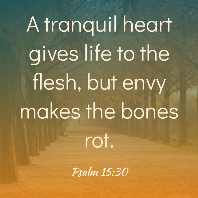  A tranquil heart gives life to the flesh, but envy makes the bones rot.   - Psalm 15:30 