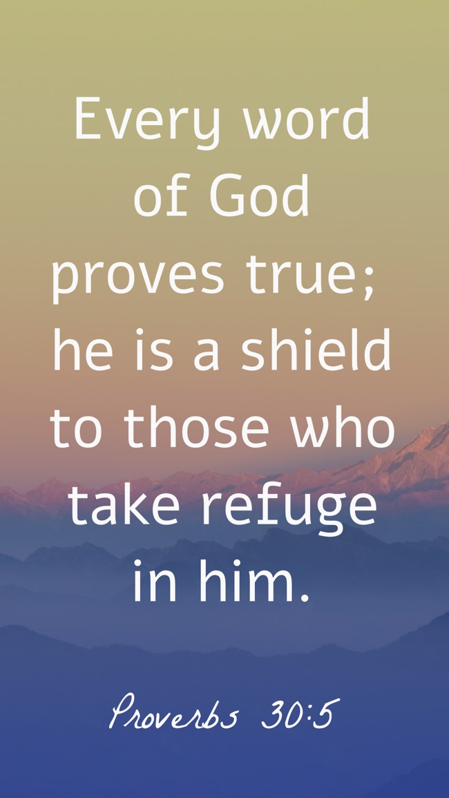 Every word of God proves true; he is a shield to those who take refuge in him. - Proverbs 30:5