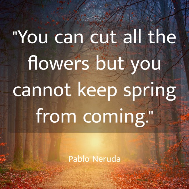  You can cut all the flowers but you cannot keep spring from coming.   - Pablo Neruda 