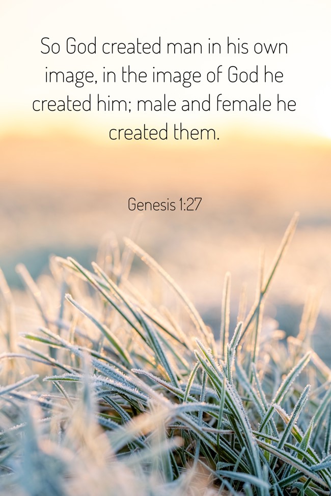 So God created man in his own image, in the image of God he created him; male and female he created them. - Genesis 1:27