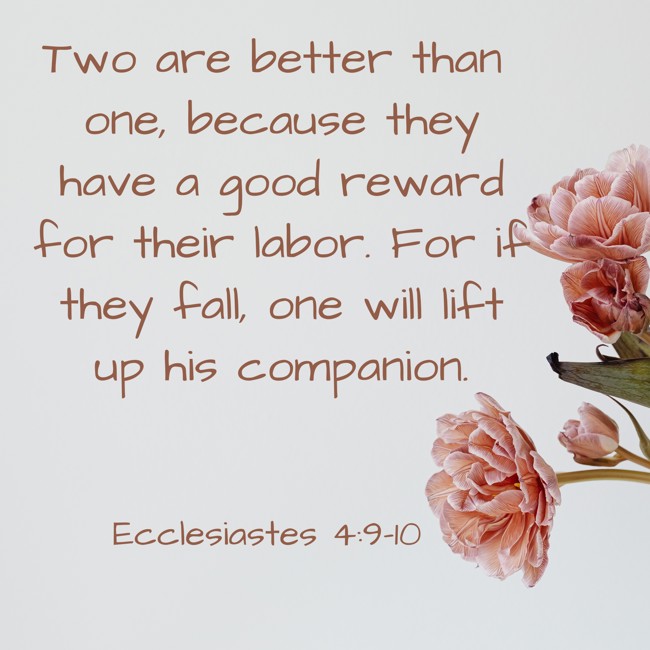 Two are better than one, because they have a good reward for their labor. For if they fall, one will lift up his companion. - Ecclesiastes 4:9-10