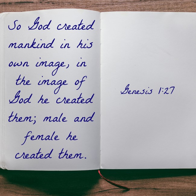 So God created mankind in his own image, in the image of God he created them; male and female he created them. - Genesis 1:27
