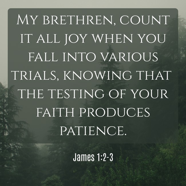 My brethren, count it all joy when you fall into various trials, knowing that the testing of your faith produces patience. - James 1:2-3