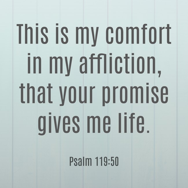This is my comfort in my affliction, that your promise gives me life. - Psalm 119:50