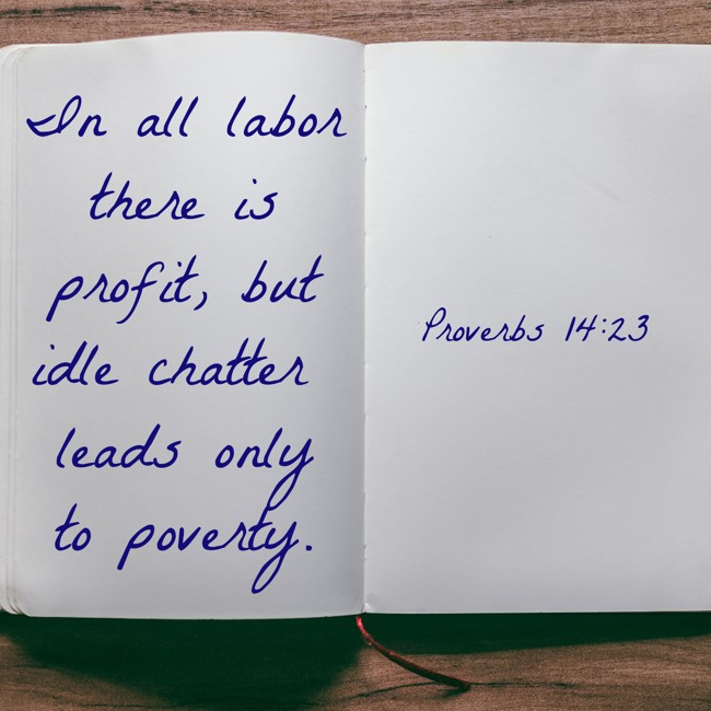 In all labor there is profit, but idle chatter leads only to poverty. - Proverbs 14:23