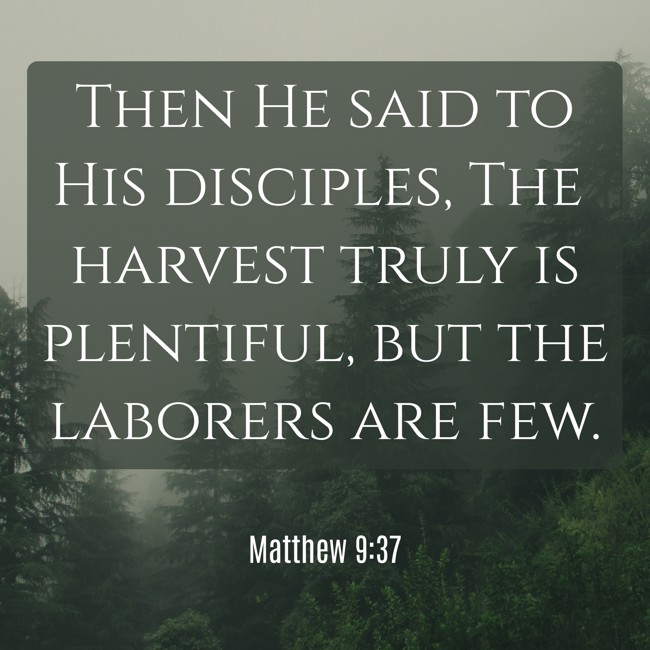Then He said to His disciples, The harvest truly is plentiful, but the laborers are few. - Matthew 9:37