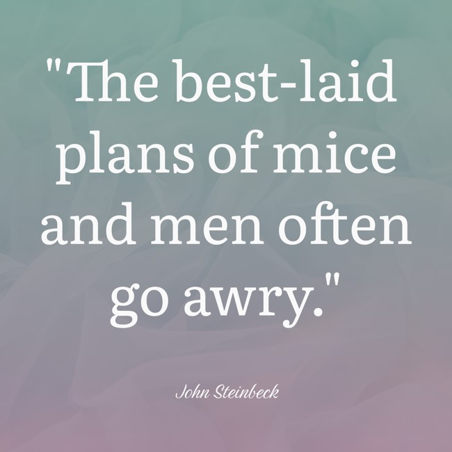 The best-laid plans of mice and men often go awry. - John Steinbeck