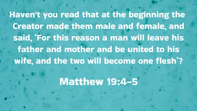 Haven't you read that at the beginning the Creator made them male and female, and said, ‘For this reason a man will leave his father and mother and be united to his wife, and the two will become one flesh’? - Matthew 19:4-5