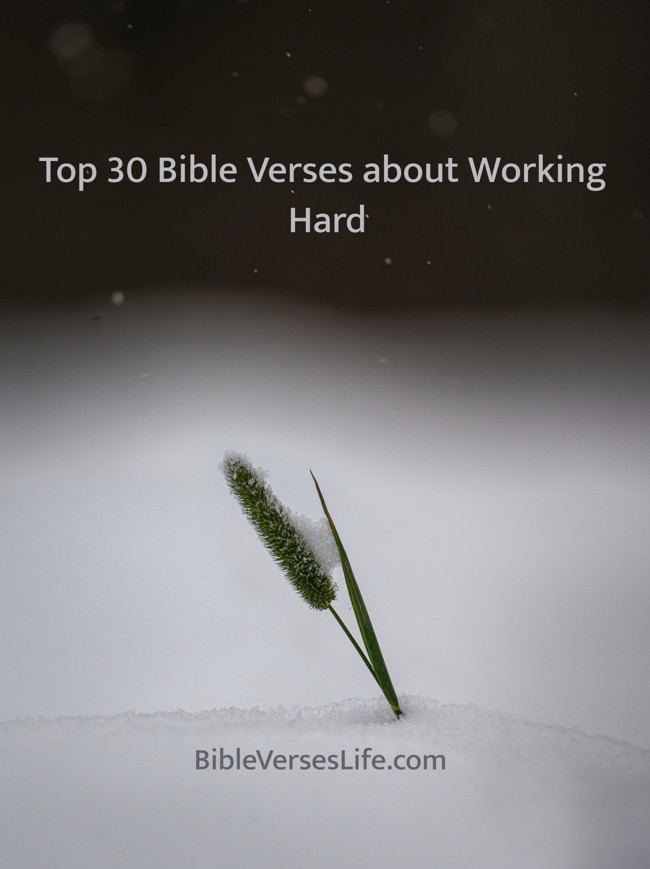 Top 30 Bible Verses about Working Hard