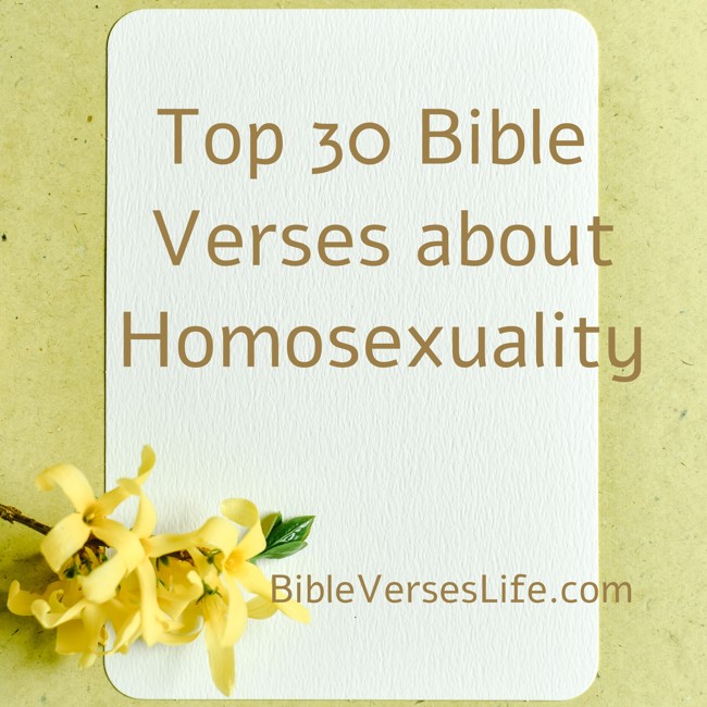 Top 30 Bible Verses about Homosexuality