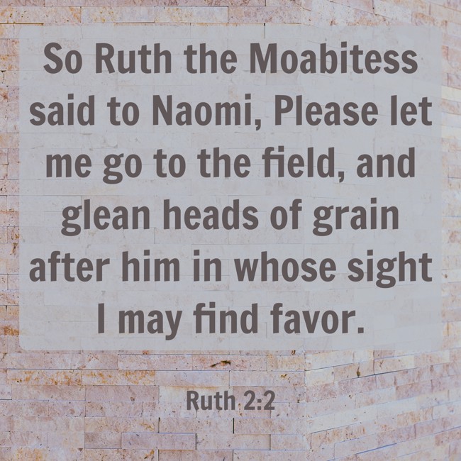  So Ruth the Moabitess said to Naomi, Please let me go to the field, and glean heads of grain after him in whose sight I may find favor.   - Ruth 2:2 