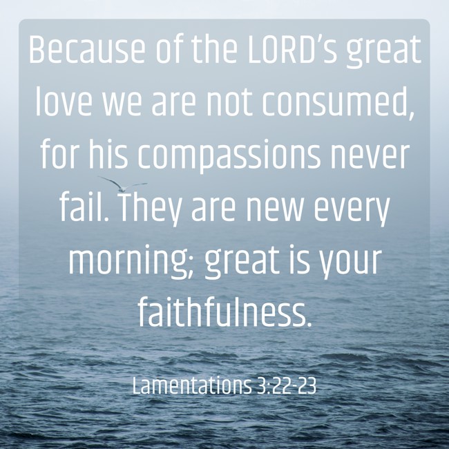 Because of the LORD’s great love we are not consumed, for his compassions never fail. They are new every morning; great is your faithfulness.   - Lamentations 3:22-23 