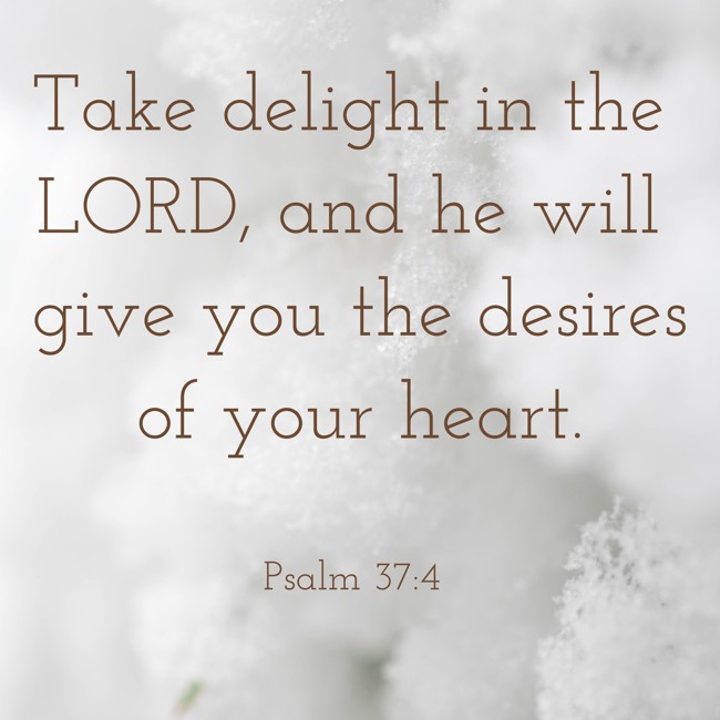  Take delight in the LORD, and he will give you the desires of your heart.   - Psalm 37:4 