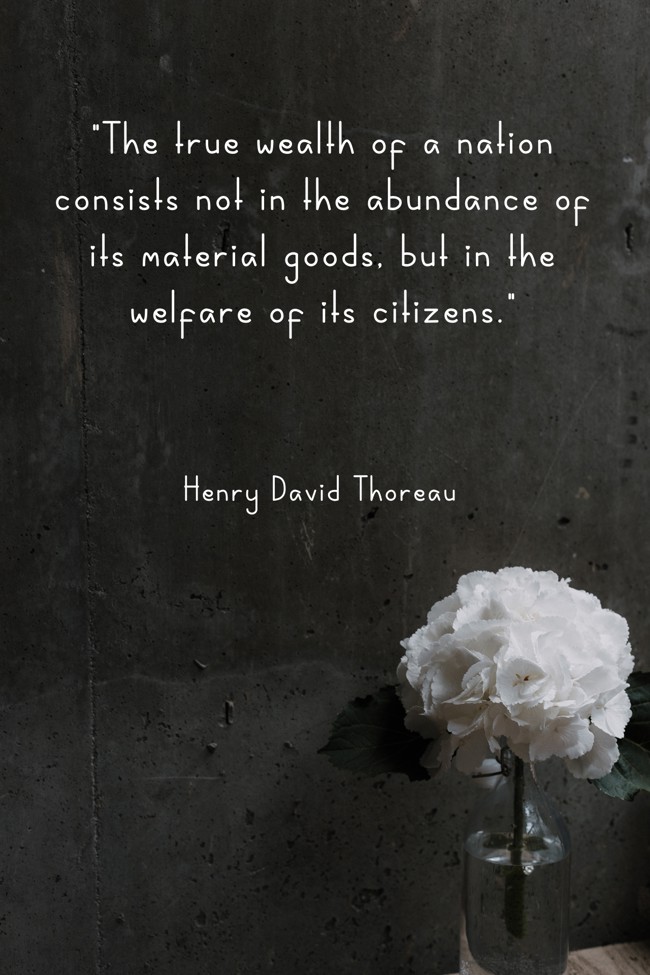  The true wealth of a nation consists not in the abundance of its material goods, but in the welfare of its citizens.   - Henry David Thoreau 