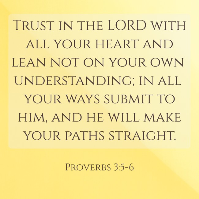  Trust in the LORD with all your heart and lean not on your own understanding; in all your ways submit to him, and he will make your paths straight.   - Proverbs 3:5-6 