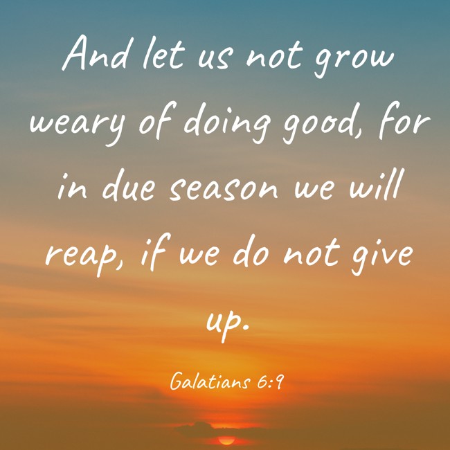  And let us not grow weary of doing good, for in due season we will reap, if we do not give up.   - Galatians 6:9 