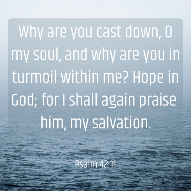 Why are you cast down, O my soul, and why are you in turmoil within me? Hope in God; for I shall again praise him, my salvation. - Psalm 42:11