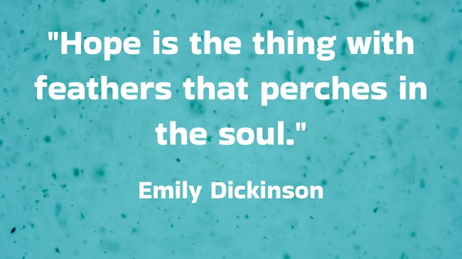 Hope is the thing with feathers that perches in the soul. - Emily Dickinson