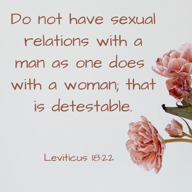 Do not have sexual relations with a man as one does with a woman; that is detestable. - Leviticus 18:22